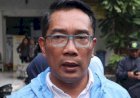 Ridwan Kamil Disarankan Jadi Menteri Ketimbang Cagub Jakarta
