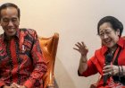 Megawati Bertapa Politik, Loyalis PDIP Kian Frustasi