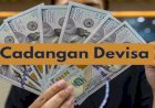 Cadangan Devisa Melorot, Pasar Pertimbangkan BI Rate