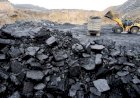 IEA Catat Impor Batu Bara Global 2024 Naik Jadi 1,5 Miliar