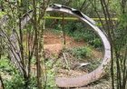 Cincin Logam Raksasa dengan berat 500 Kg Jatuh di Kenya