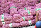 KPK Didesak Berani Bongkar Korupsi Impor Bawang Putih