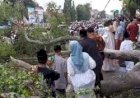 Dua jamaah Salat Ied Tewas Tertimpa Pohon Beringin