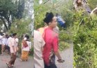 Pohon Tumbang Jelang Salat Id di Pemalang, 3 Tewas