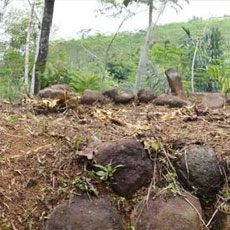 Menhir Unik â€œMakam Kabayanâ€ di Gunung Padang