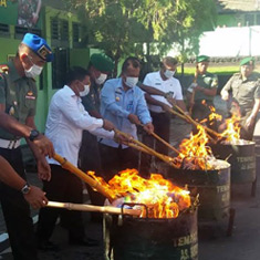 TNI Musnahkan 162,03 Kg Ganja dan 1.687 Botol Miras di Papua